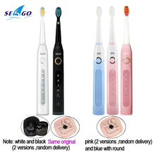 Load image into Gallery viewer, Seago Sonic Electric Toothbrush SG-507 Adult Timer Brush Set - beesdecorpro
