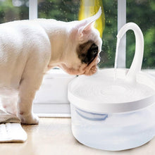 Load image into Gallery viewer, Cat Water Dispenser  With LED Light Bird Dog Drink Bowl - beesdecorpro
