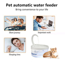 Load image into Gallery viewer, Cat Water Dispenser  With LED Light Bird Dog Drink Bowl - beesdecorpro

