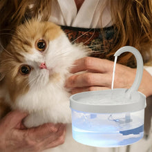 Load image into Gallery viewer, Cat Water Dispenser  With LED Light Bird Dog Drink Bowl - beesdecorpro
